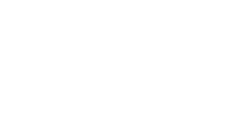 Aldea Coffee